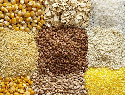Продаем зерно фуражное и продовольственное